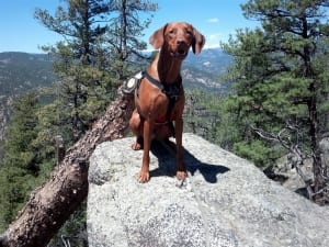 Colorado trail hike