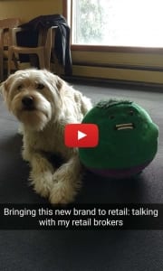 bringing a new brand to retail