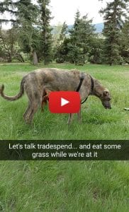 tradespend